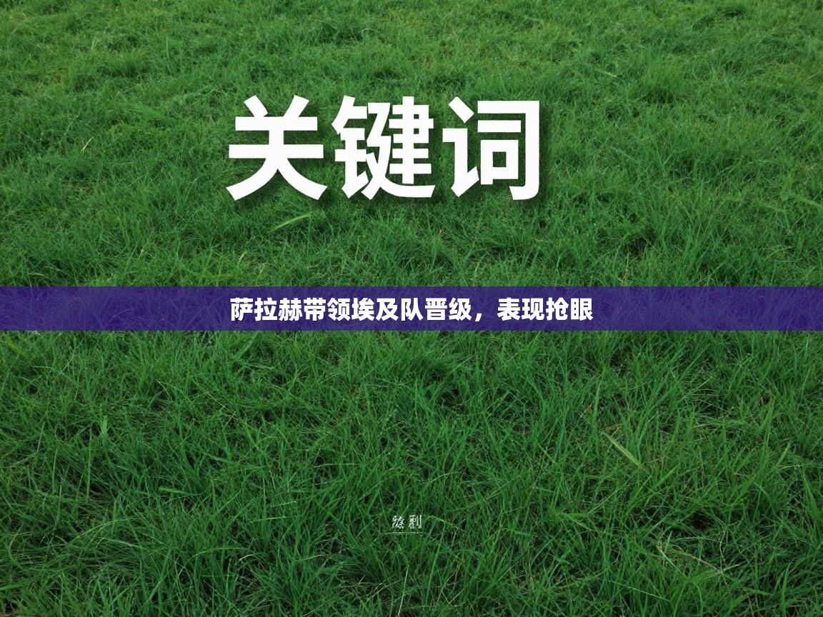 萨拉赫带领埃及队晋级，表现抢眼  第2张