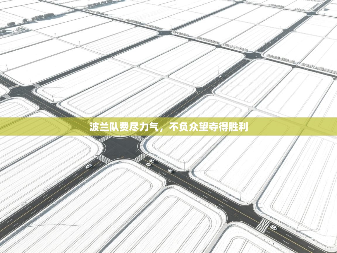 波兰队费尽力气，不负众望夺得胜利  第1张