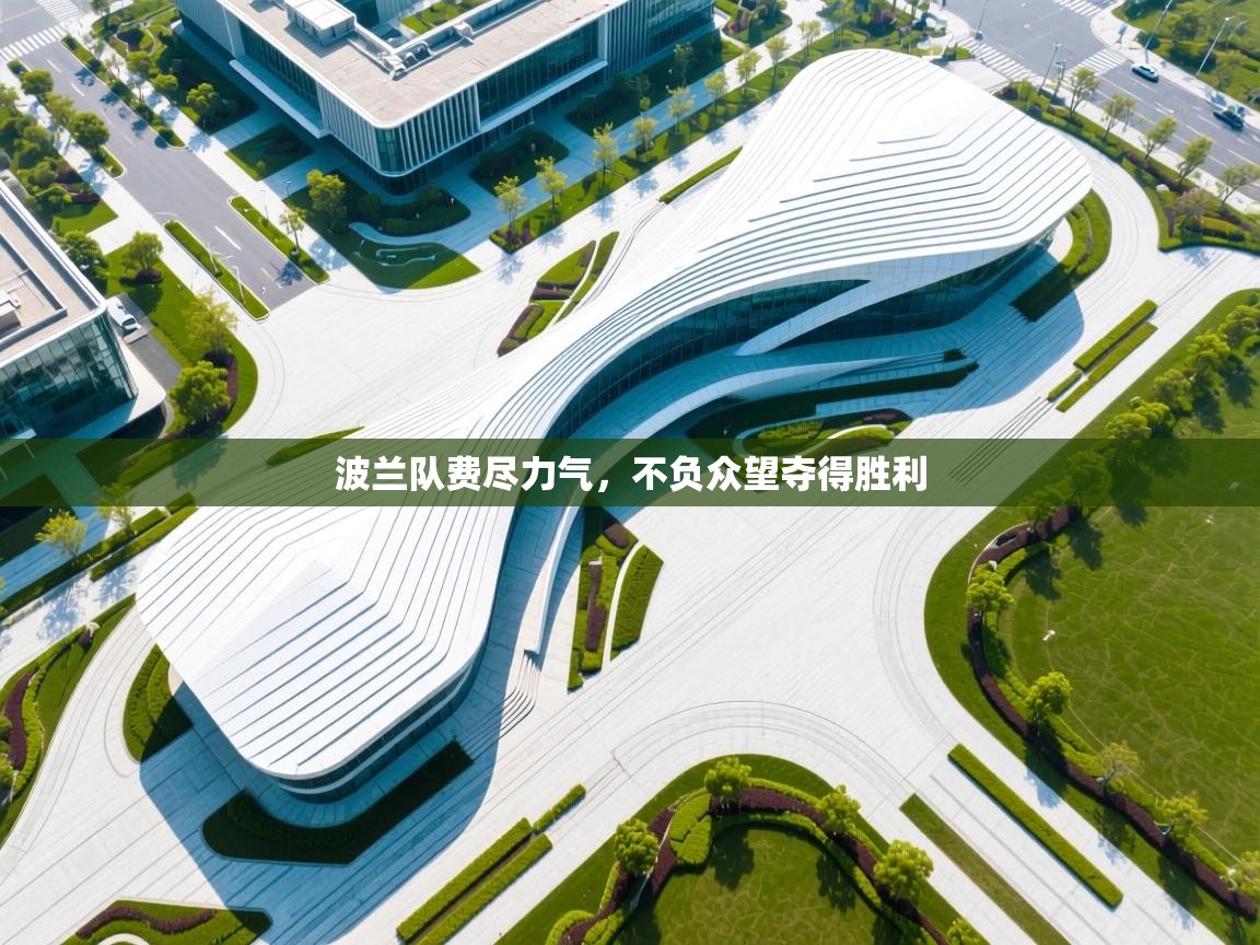 波兰队费尽力气，不负众望夺得胜利  第2张