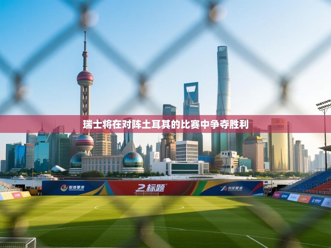 瑞士将在对阵土耳其的比赛中争夺胜利 第2张