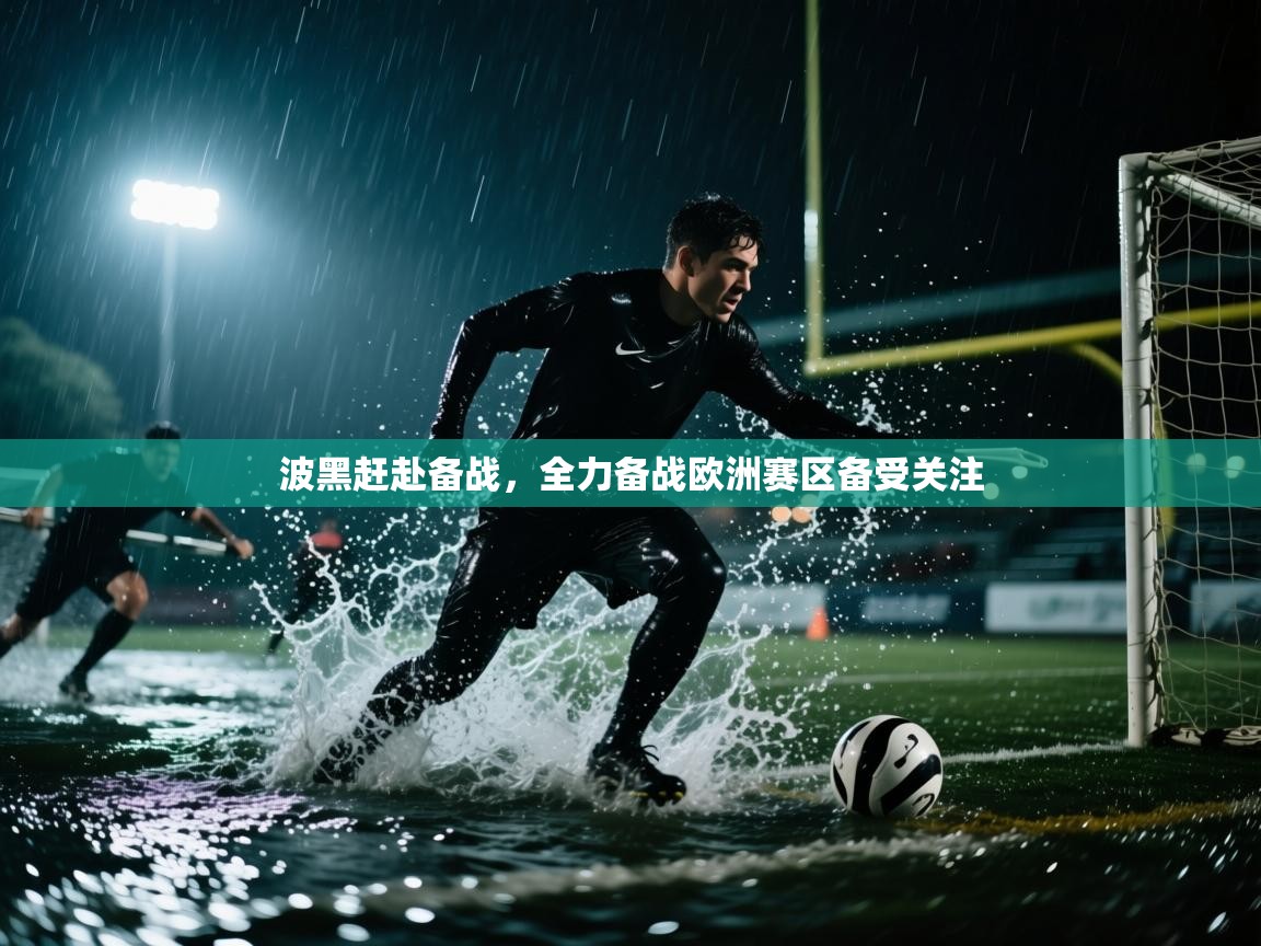 波黑赶赴备战，全力备战欧洲赛区备受关注  第1张