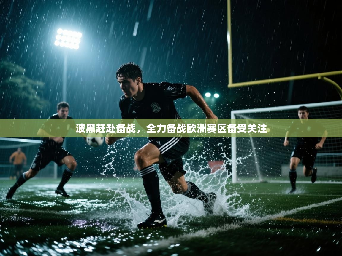 波黑赶赴备战，全力备战欧洲赛区备受关注  第2张