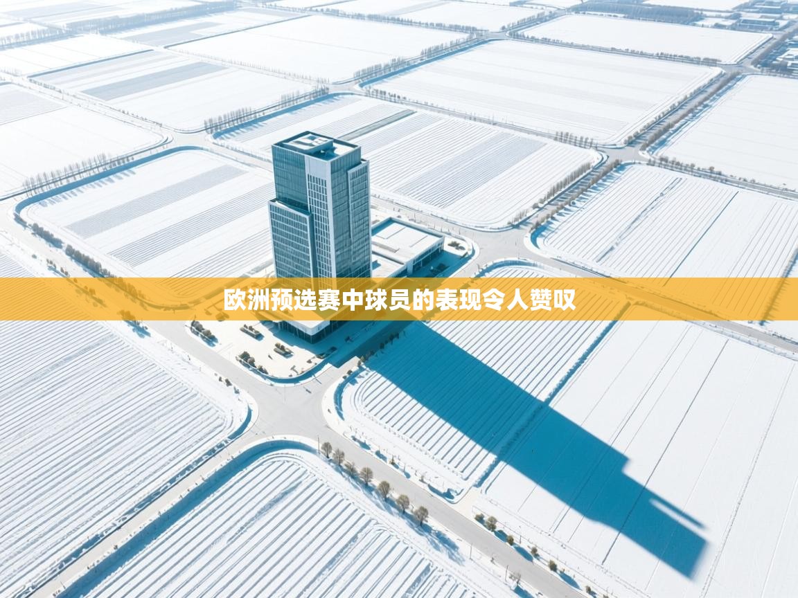 欧洲预选赛中球员的表现令人赞叹  第1张