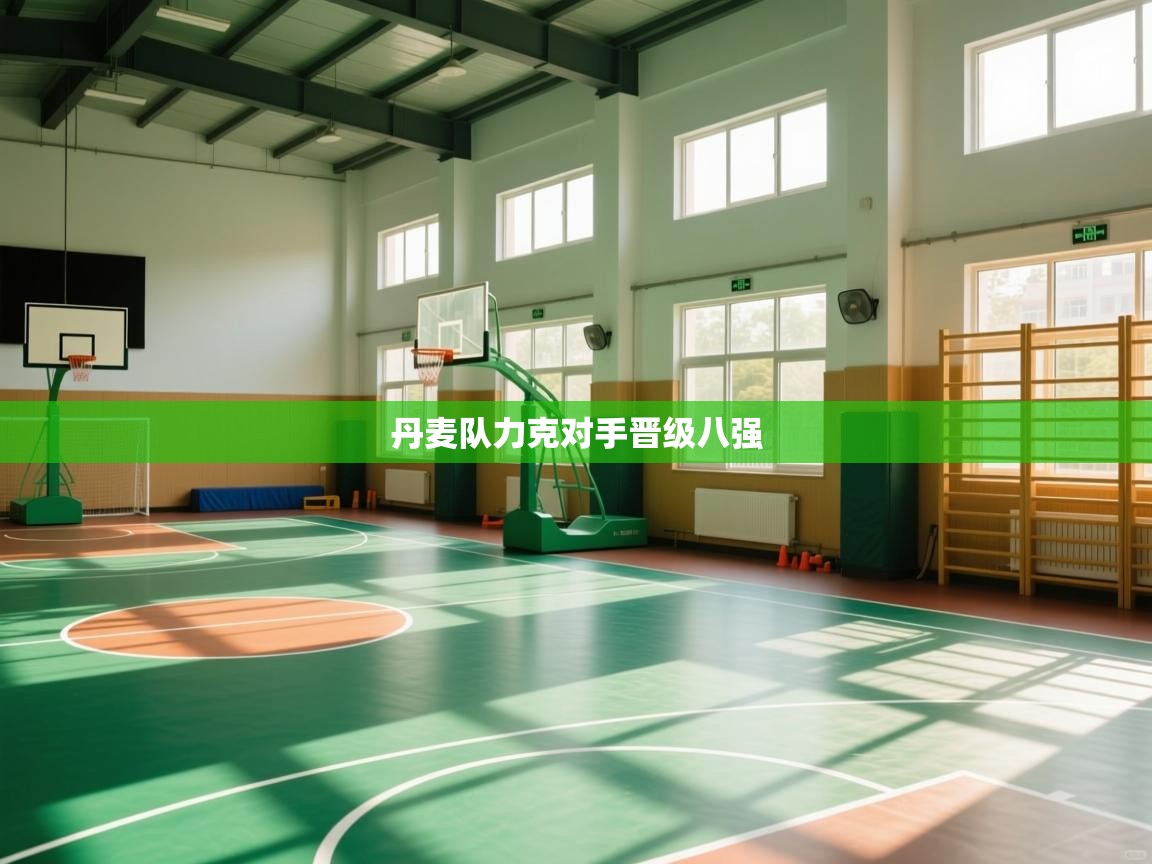 丹麦队力克对手晋级八强  第2张