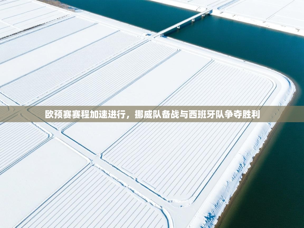 欧预赛赛程加速进行,挪威队备战与西班牙队争夺胜利 第1张