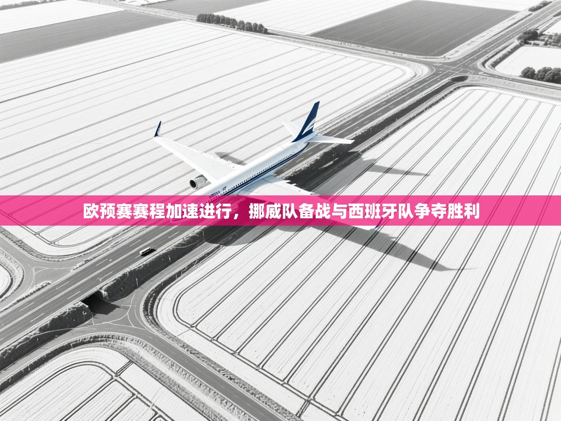 欧预赛赛程加速进行,挪威队备战与西班牙队争夺胜利 第2张