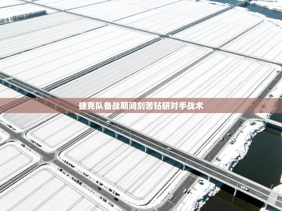 捷克队备战期间刻苦钻研对手战术 第1张