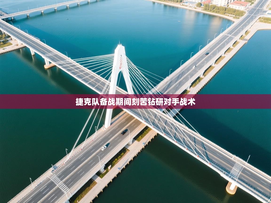 捷克队备战期间刻苦钻研对手战术 第2张